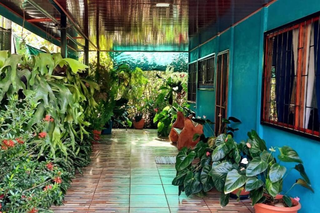 Hospedaje Valencia Osa, Cr Potrero  Buitenkant foto