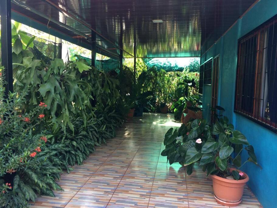 Hospedaje Valencia Osa, Cr Potrero  Buitenkant foto