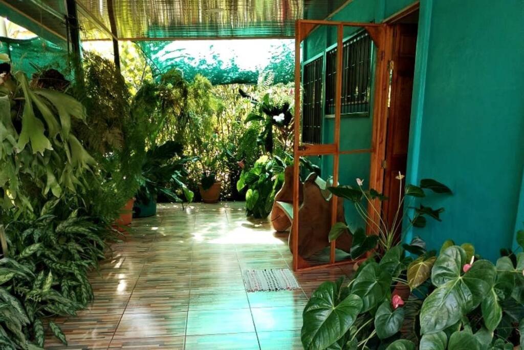 Hospedaje Valencia Osa, Cr Potrero  Buitenkant foto